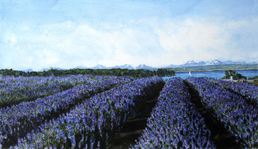 Lavender Painting - Penn Cove Lavender by Perry Woodfin