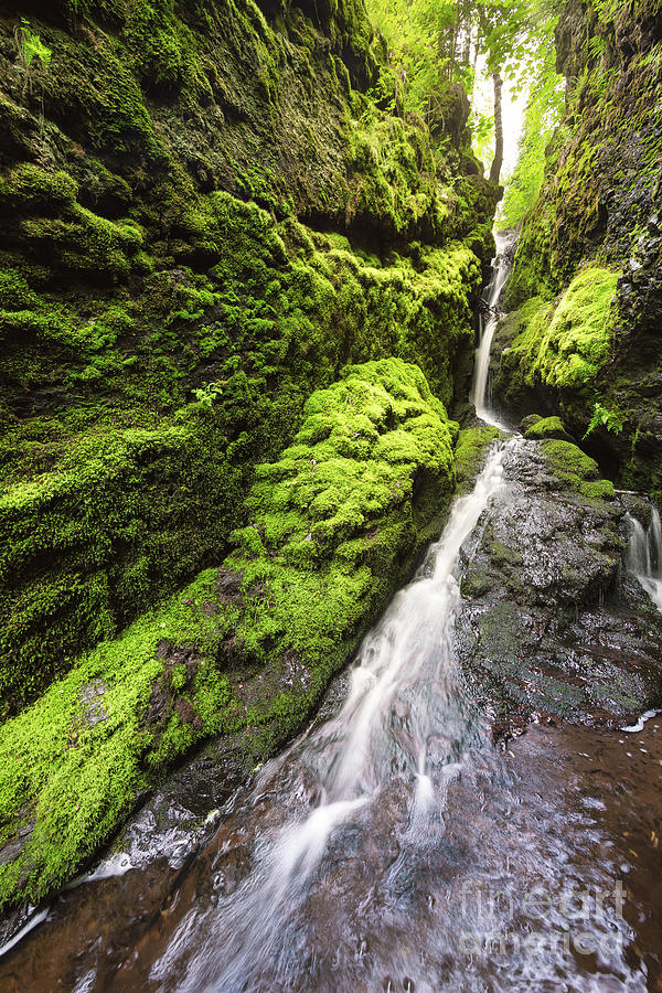 Penn Creek Photograph by Ernesto Ruiz