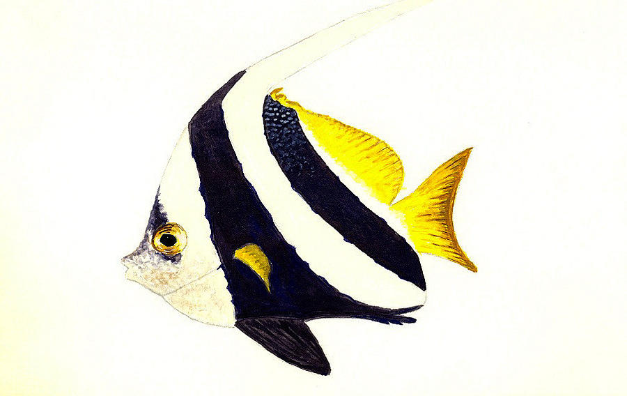Fish Painting - Pennant Fish by Michael Vigliotti