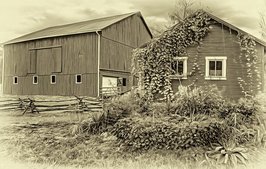 Pennsylvania Barn 3- Paint - Sepia Photograph by Steve Harrington