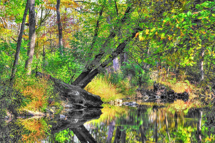 Pennsylvania Country Roads - Autumn Colorfest in the Creek No. 8 - Shade Creek Huntingdon County Photograph by Michael Mazaika