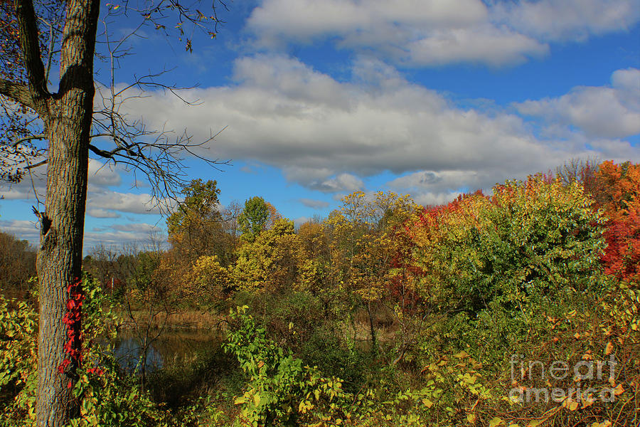Pennsylvania Fall at the Lake Photograph by Sandy Moulder