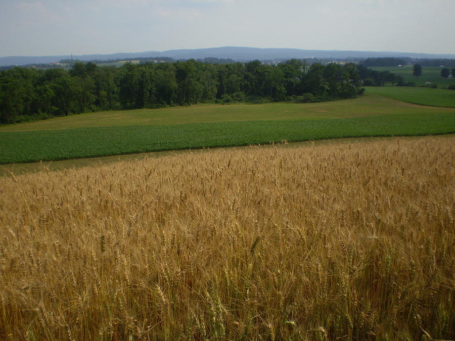 Pennsylvania Farm Fields Photograph by Karen Henninger Fine Art America
