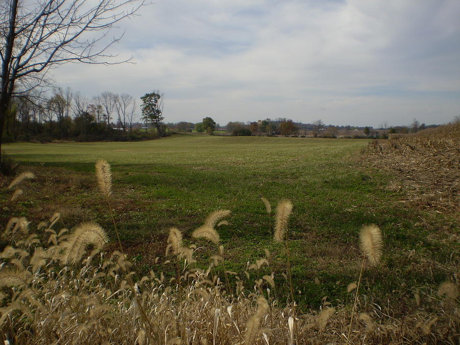 Pennsylvania Fields Photograph by Karen Henninger Fine Art America