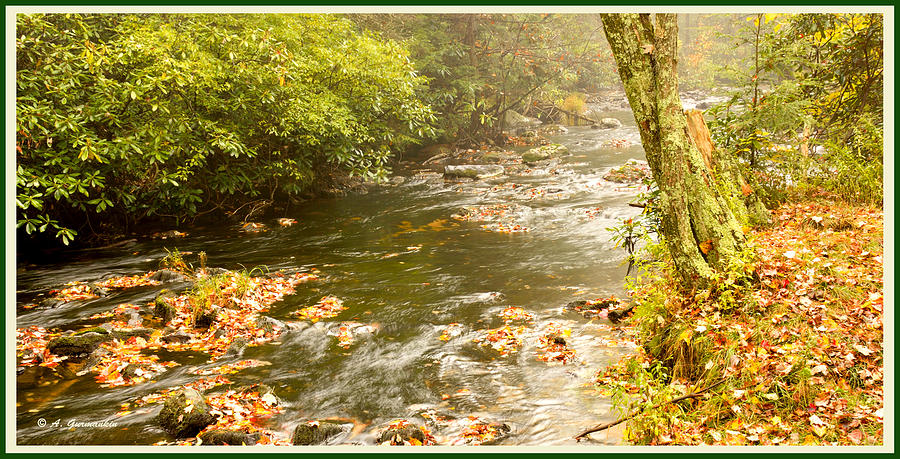 Fall Photograph - Pennsylvania Mountain Stream in Autumn by A Macarthur Gurmankin