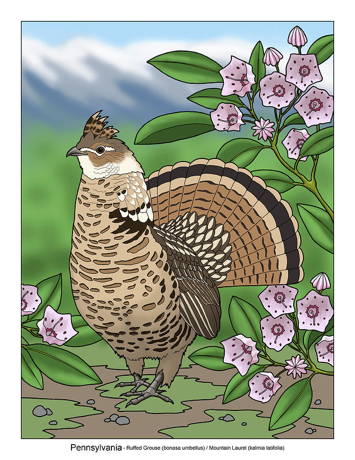 pennsylvania-state-bird-grouse-and-flower-laurel-painting-by-crista-forest