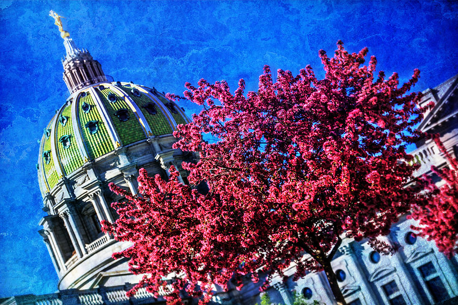 Pennsylvania State Capitol Dome In Bloom Photograph