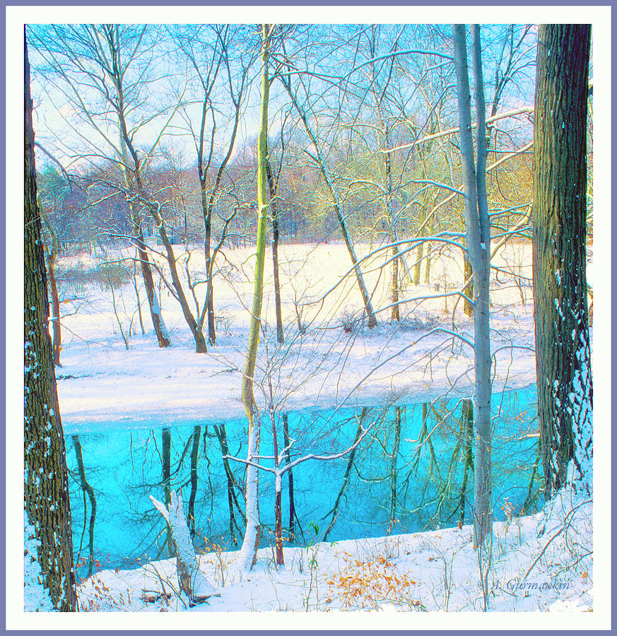 Pennsylvania Woodland Stream in Winter Photograph by A Macarthur Gurmankin