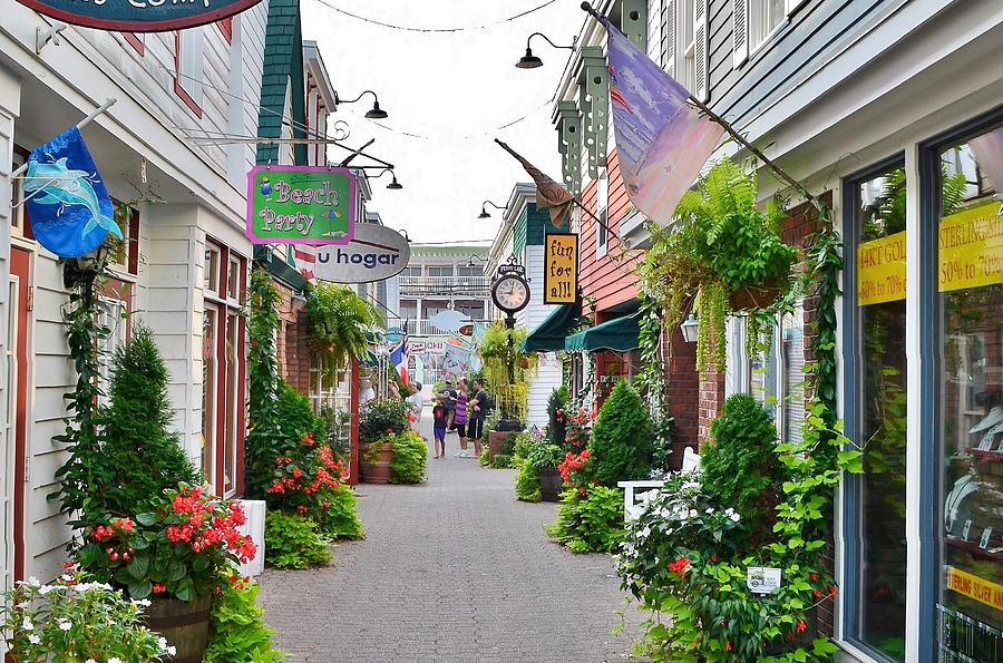 Penny Lane Greenery Photograph by Kim Bemis - Fine Art America