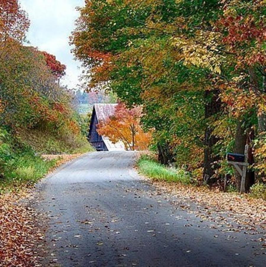 Penny Lane Vermont Fall Colors By Jeff Photograph by Jeff Folger