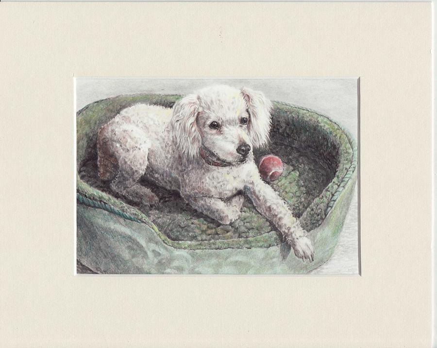 Penny by Laurie McGinley Penny by Laurie McGinley