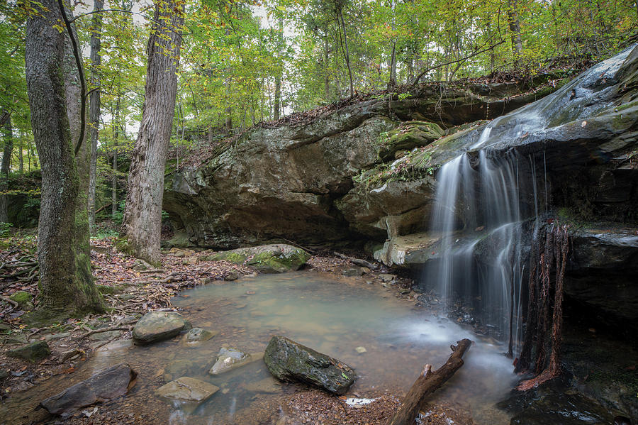 Pennyrile Forest State Resort Park waterfall Photograph by Jim Pearson