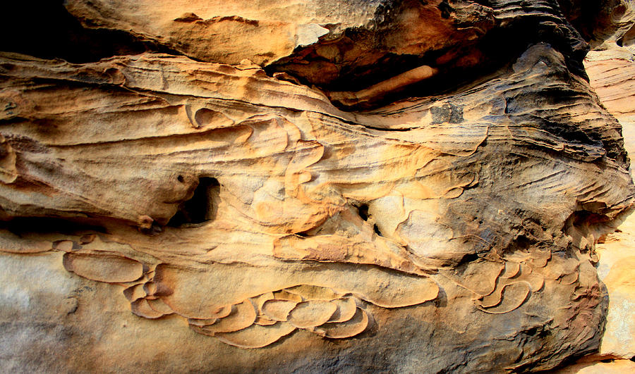 90 - Pennyrile Sandstone Photograph by Angela Comperry