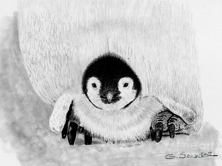 Penguin Charcoal Pencil Drawing A3 Size Minimal Art Digital Download
