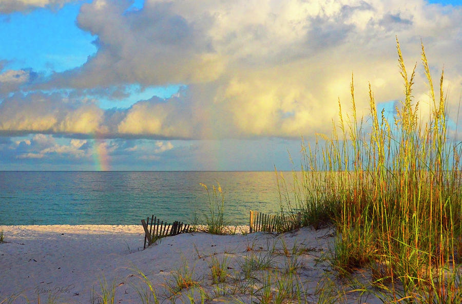 Pensacola Rainbow at Sunset Photograph by Marie Hicks