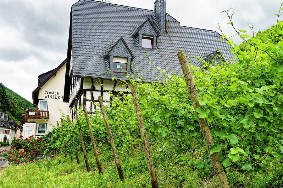 Pension Winzerhaus Photograph by Betty Eich