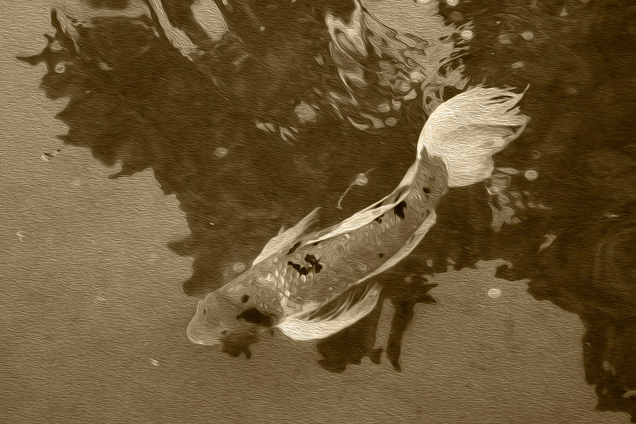 Pensive Koi Sepia Photograph by Bonnie Follett