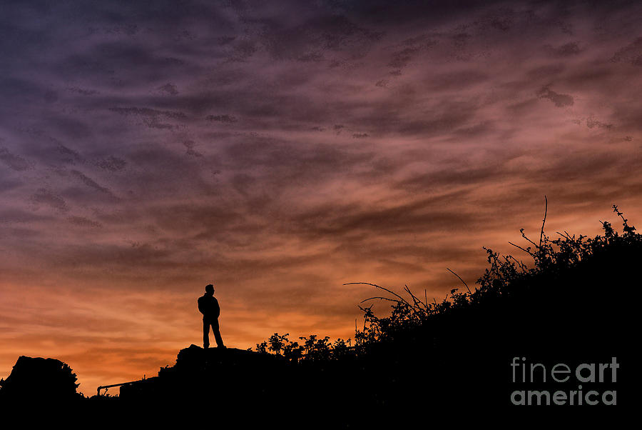 Pensive Sunset Photograph by Steve Purnell
