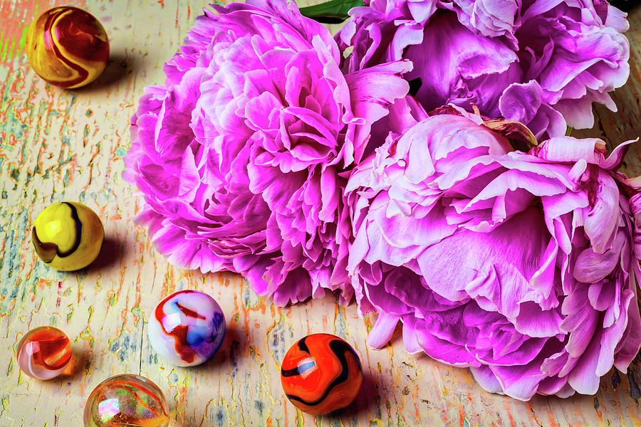 Peonies And Marbles Photograph by Garry Gay