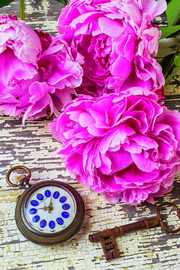 Peonies And Pocket Watch Photograph by Garry Gay
