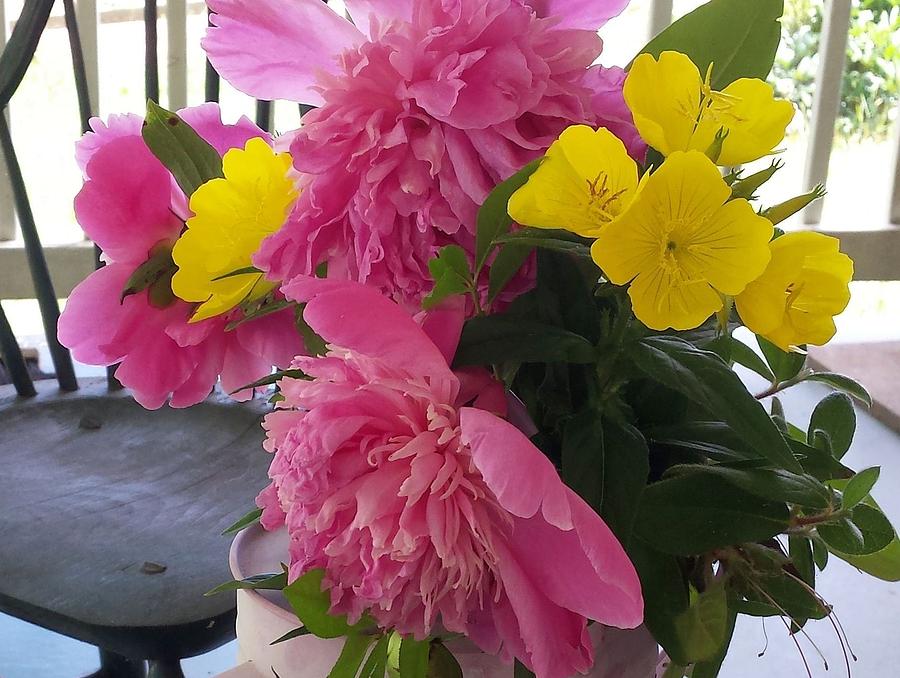 Peonies and Primroses by Deb Martin-Webster Peonies and Primroses by Deb Martin-Webster