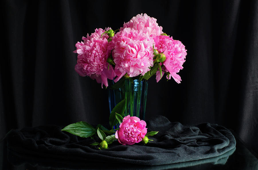 Peonies Photograph - Peonies - Beauty the Brave by Wendy Blomseth Peonies Photograph - Peonies - Beauty the Brave by Wendy Blomseth