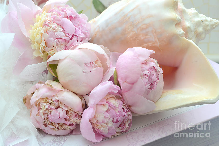 Pink Photograph - Shabby Chic Pink Peonies  - Dreamy Pink Yellow Peonies In Beach Shell - Dreamy Peony Decor by Kathy Fornal