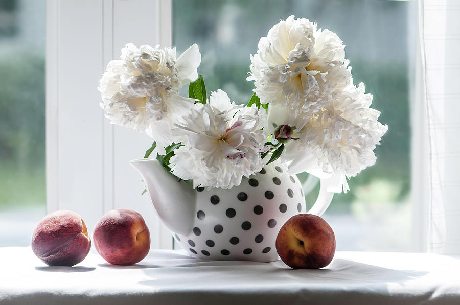 Peonies in a Polka Dot Teapot  Photograph by Maggie Terlecki