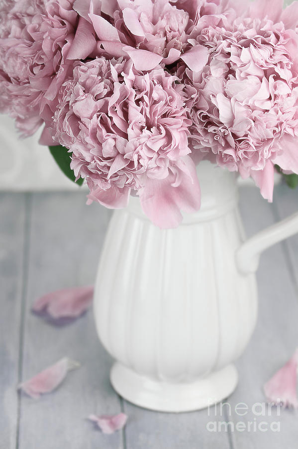 Peonies in a Vase Photograph by Stephanie Frey