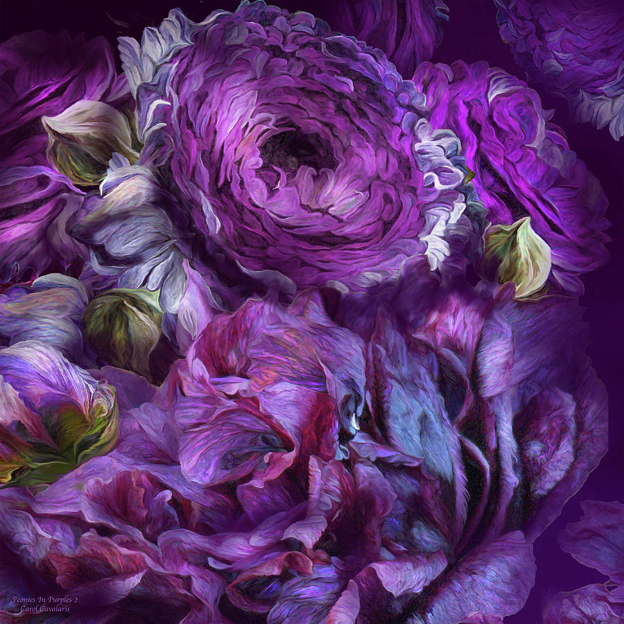 Peonies In Purples  2 Mixed Media by Carol Cavalaris