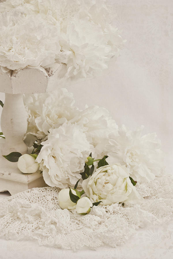 Peonies In White  Photograph by Sandra Foster