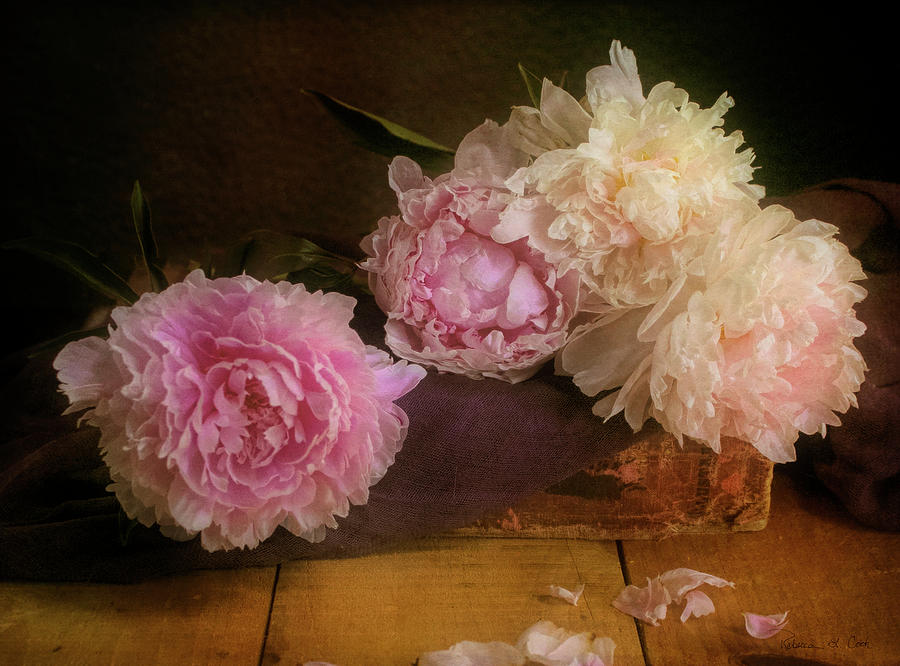 Peonies On Book Photograph by Bellesouth Studio