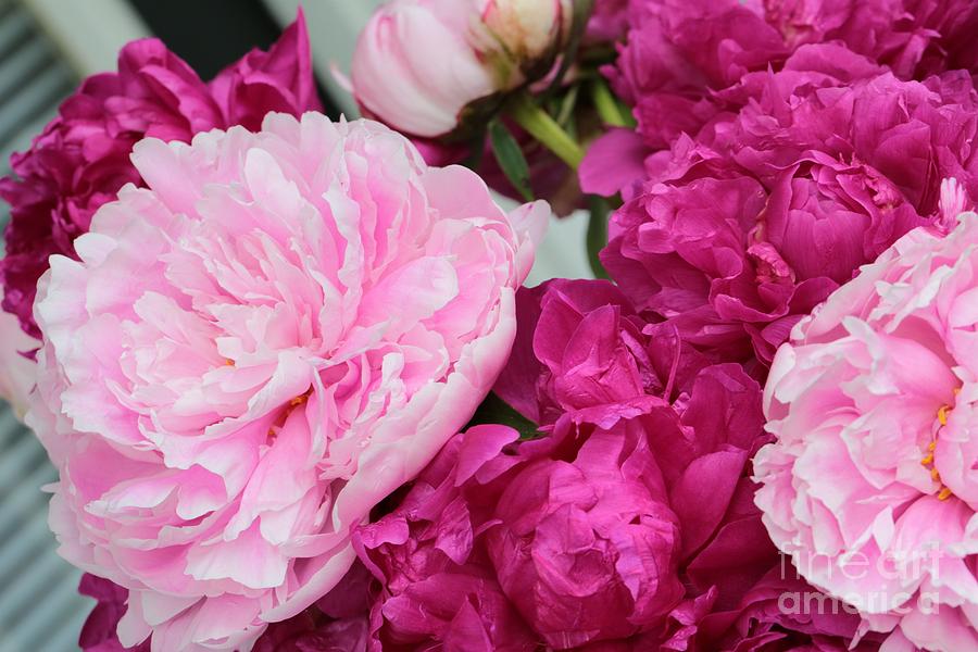 Flower Photograph - Peonies on the Porch by Carol Groenen