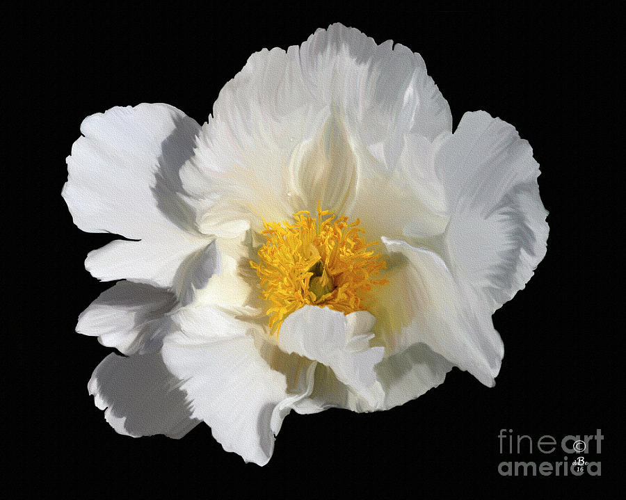 Peony 5 Painting by Diane E Berry