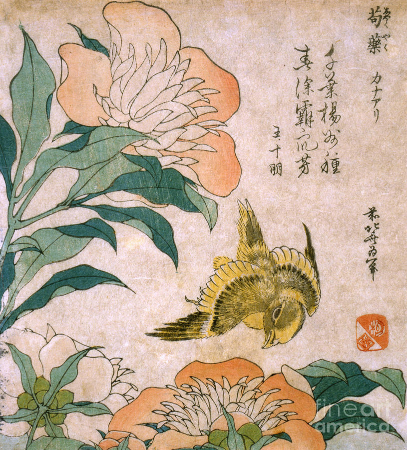 Katsushika Hokusai Painting - Peony And Canary by MotionAge Designs
