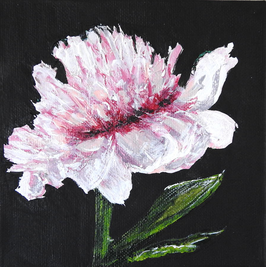 Peony Bloom Mixed Media by Betty-Anne McDonald