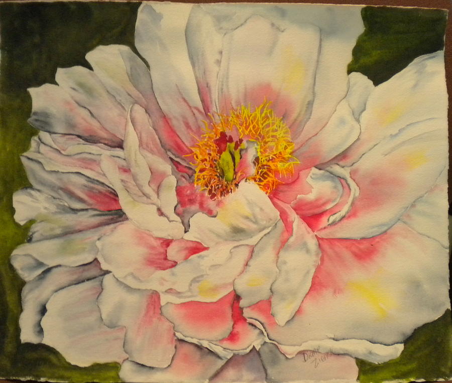 Floral Painting - Peony  by Diane Ziemski