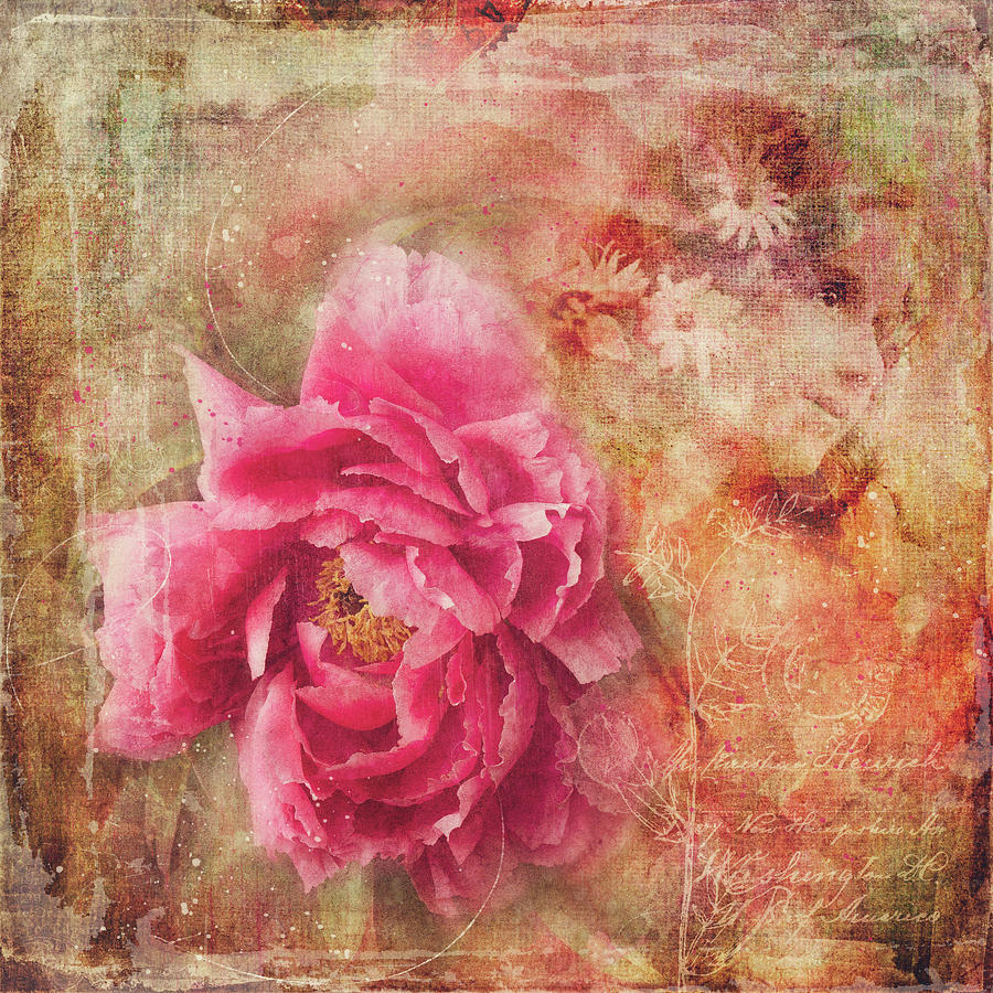 Peony Dreams Digital Art by Margaret Goodwin - Fine Art America