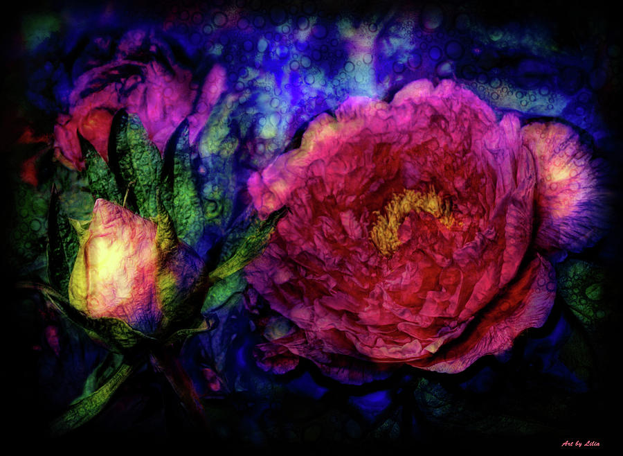 Peony flower Digital Art by Lilia S