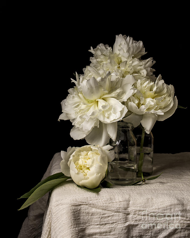Flower Photograph - Peony Flowers by Edward Fielding