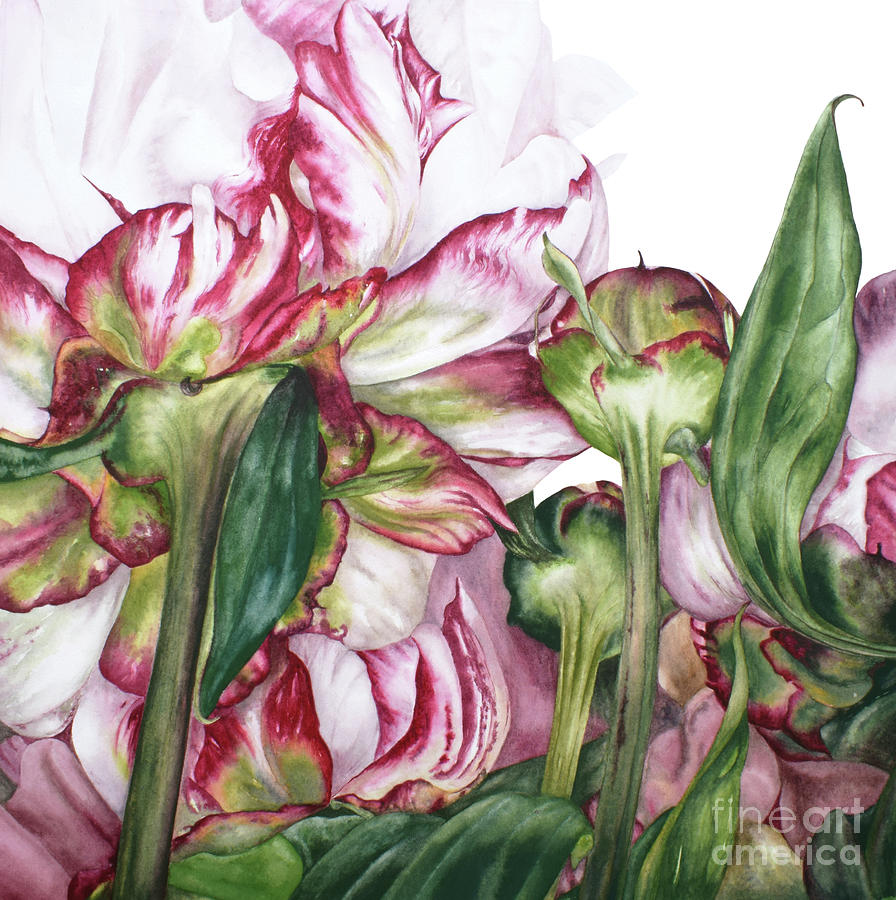 Flower Painting - Peony Garden by Marie Burke