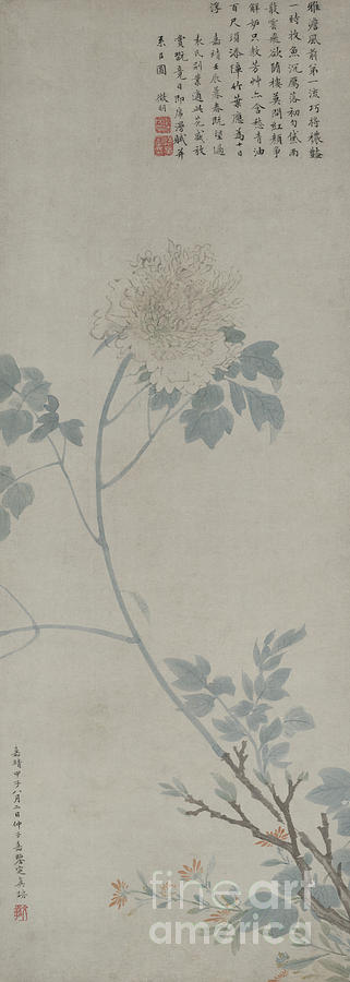 Peony Painting - Peony, Hanging Scroll, 1532 by Wen Zhengming Peony Painting - Peony, Hanging Scroll, 1532 by Wen Zhengming
