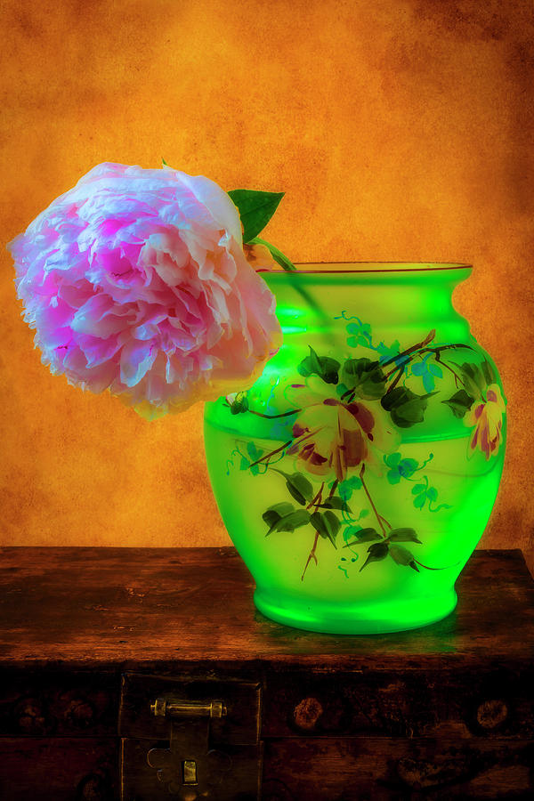 Peony In Green Vase Photograph by Garry Gay
