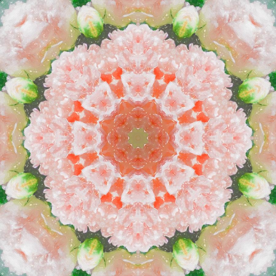 Peony Kaleidoscope 1 Photograph by Natalie Rotman Cote Peony Kaleidoscope 1 Photograph by Natalie Rotman Cote
