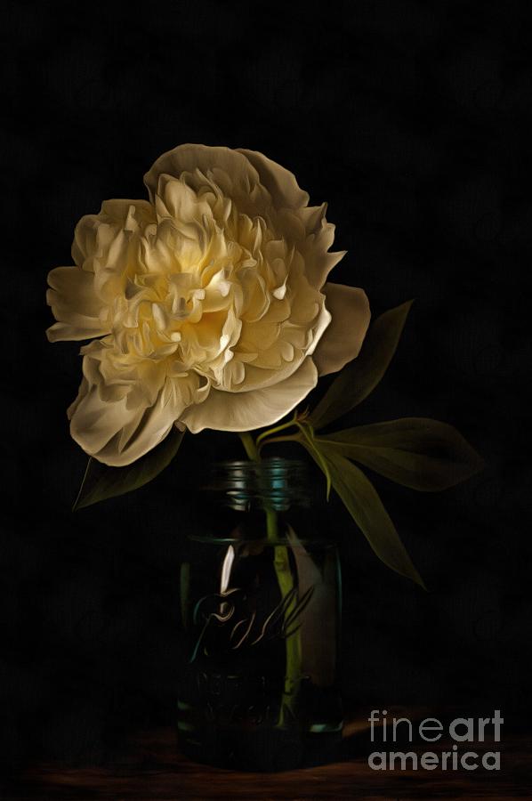 Rembrandt Photograph - Peony Old Masters by Edward Fielding