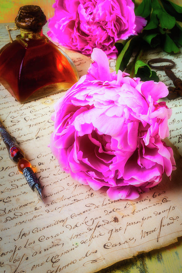 Peony On Old Letter Photograph by Garry Gay