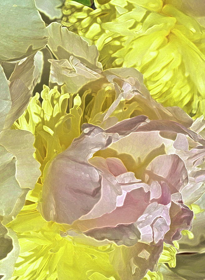 Flower Photograph - Peony Perfect by Gwyn Newcombe