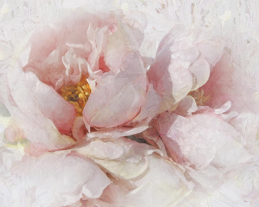 Peony Perfection Photograph by Karen Lynch