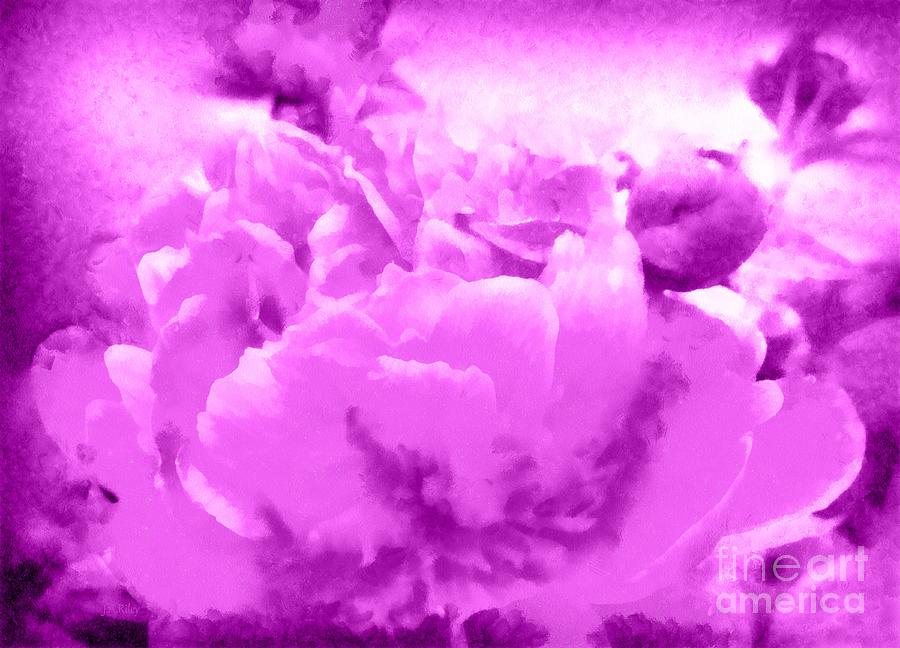 Peony Raspberry Purple - Orchid Frost Peony Photograph by Janine Riley
