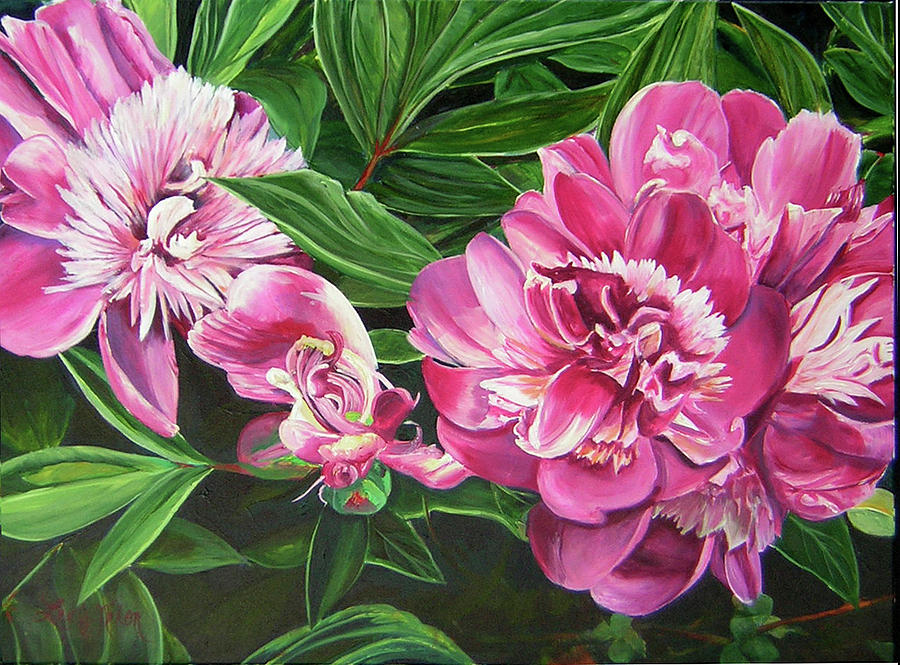 Peony Trilogy Painting by Lee Nixon